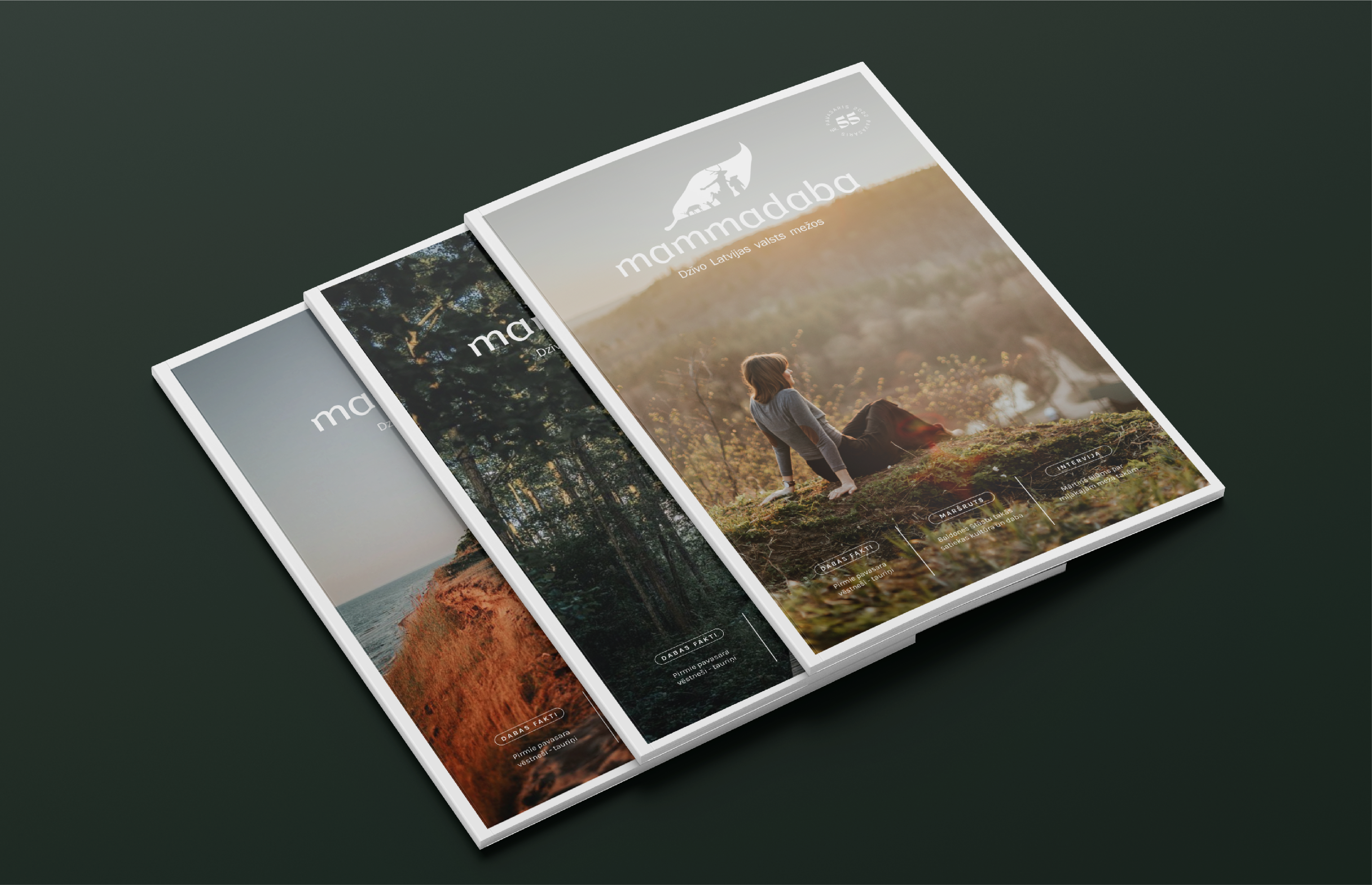 LVM magazine