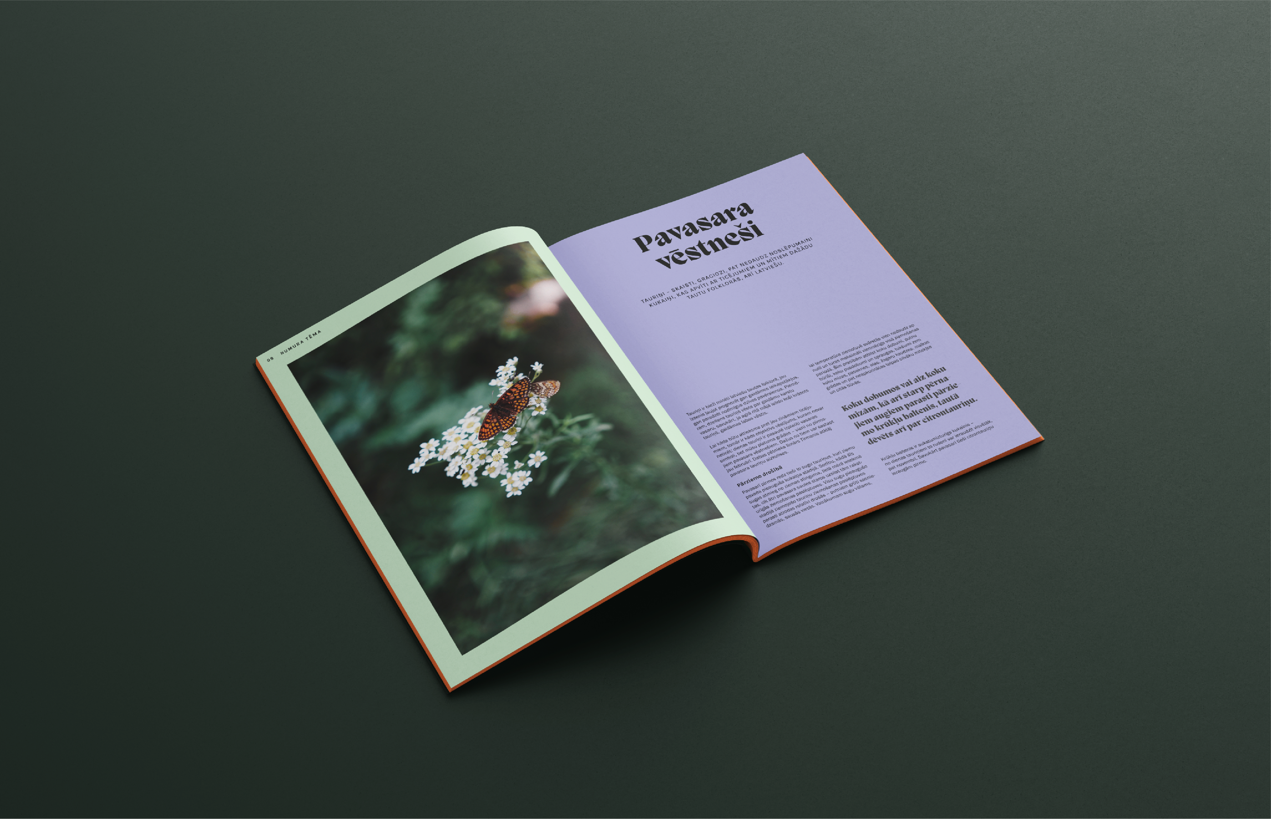 LVM magazine