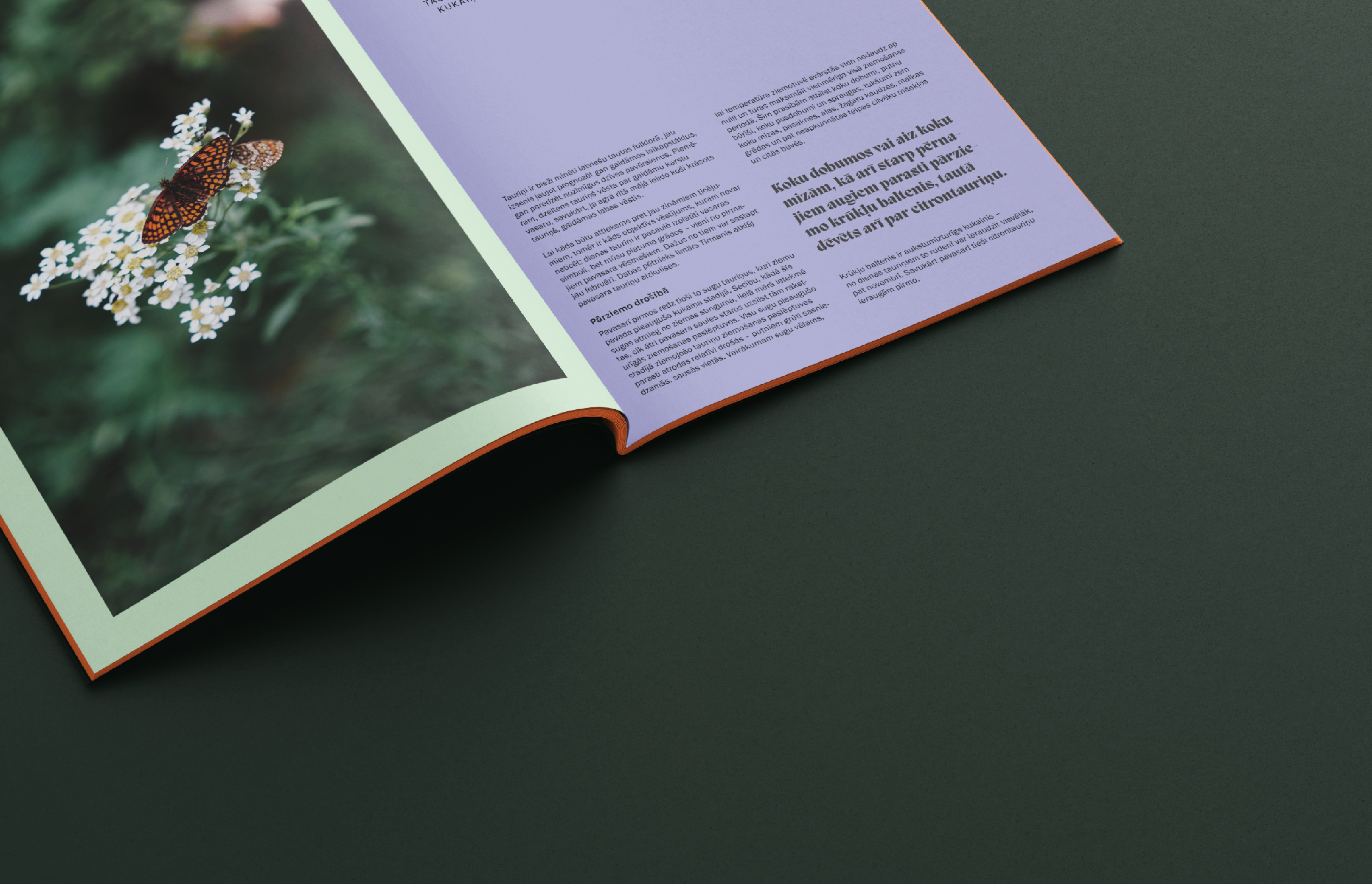 LVM magazine